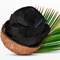 Photo of coconut filled with charcoal