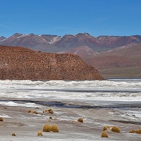 Borax rich deposits along the water of a barren open landscape 