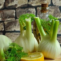 Fennel plants ready to eat in the kitchen!