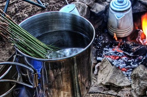 Billy on a camp fire with pine needles to make tea, an excellent source of shikimic acid