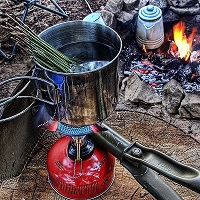 Pot of pine needle tea boiling on a camp fire which is a great source of shikimic acid