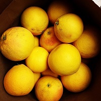 Box of whole grapefruits to make Quinine