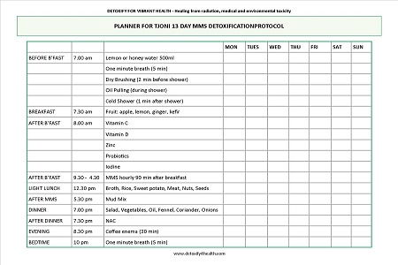 Example of planner with days across the top and times with various vitamins and treatments down the left hand side